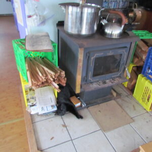 Wood stove cat not included